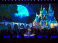 Festival Sankt Petersburger Abende - ShowOpera 2022
