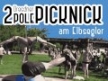 2. Dresdner Pole Picknick