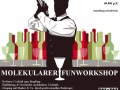 Molekularer Funworkshop
