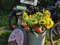 Umundu-Festival - solidarische Gemüsekoop 'deinHof' - Radtour zum Hof mit Hofrundgang