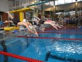 Deutsche Mannschaftsmeisterschaften im Schwimmen