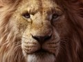 Der König der Löwen - NUR UM 17 UHR!