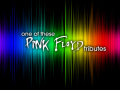One of These - Pink Floyd Tributes - Unplugged